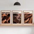 Three framed travel art prints of African countries (Ivory Coast, Nigeria, Uganda) displayed on a light wood floating shelf in a modern room setting with a tripod floor lamp, a black pendant light, and small potted plants.