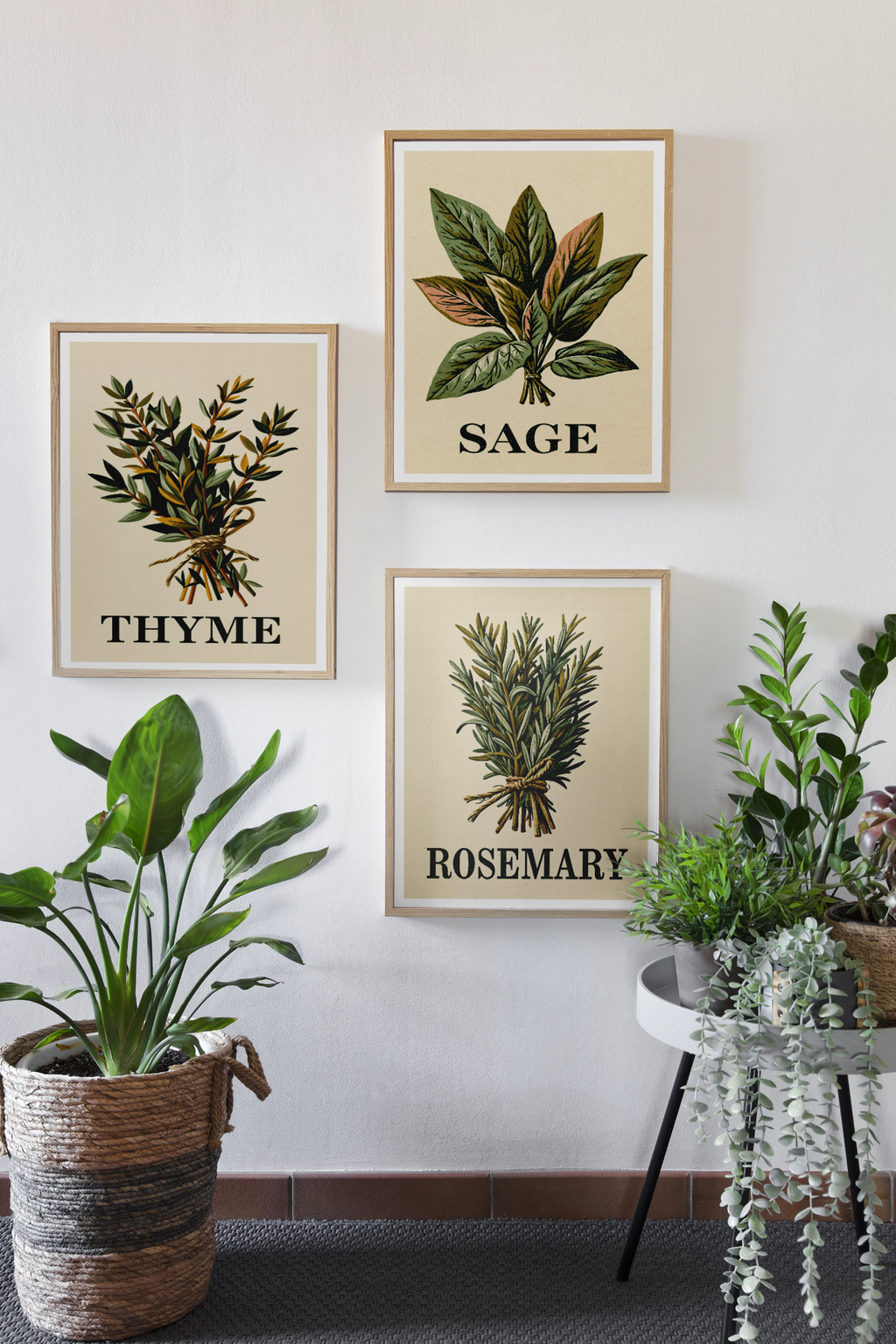 Vintage Herb Print Set