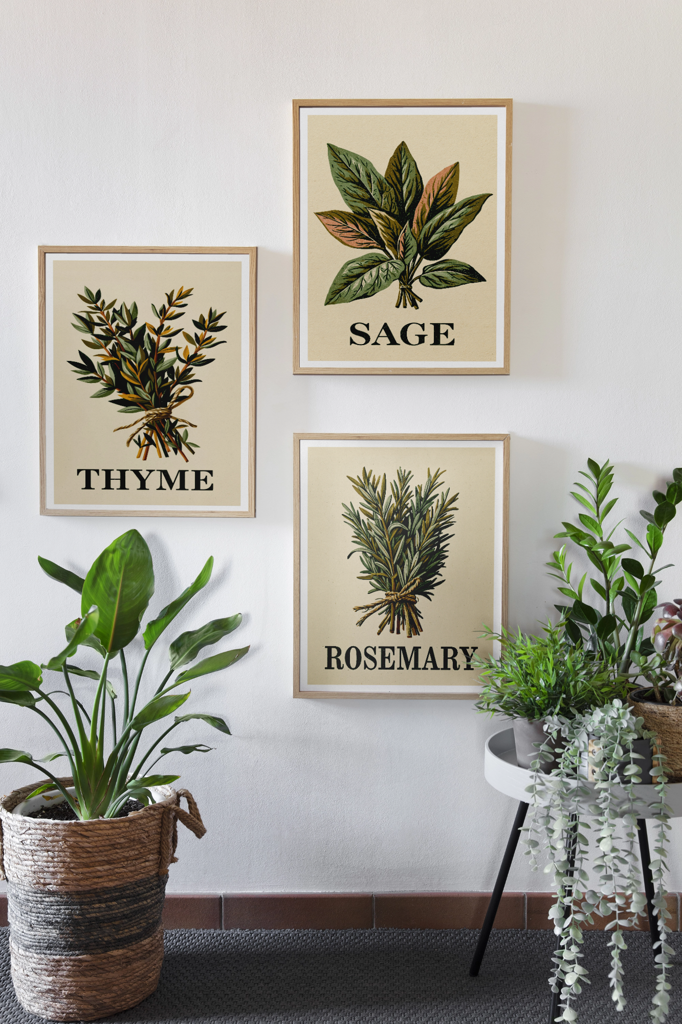 Vintage Herb Print Set