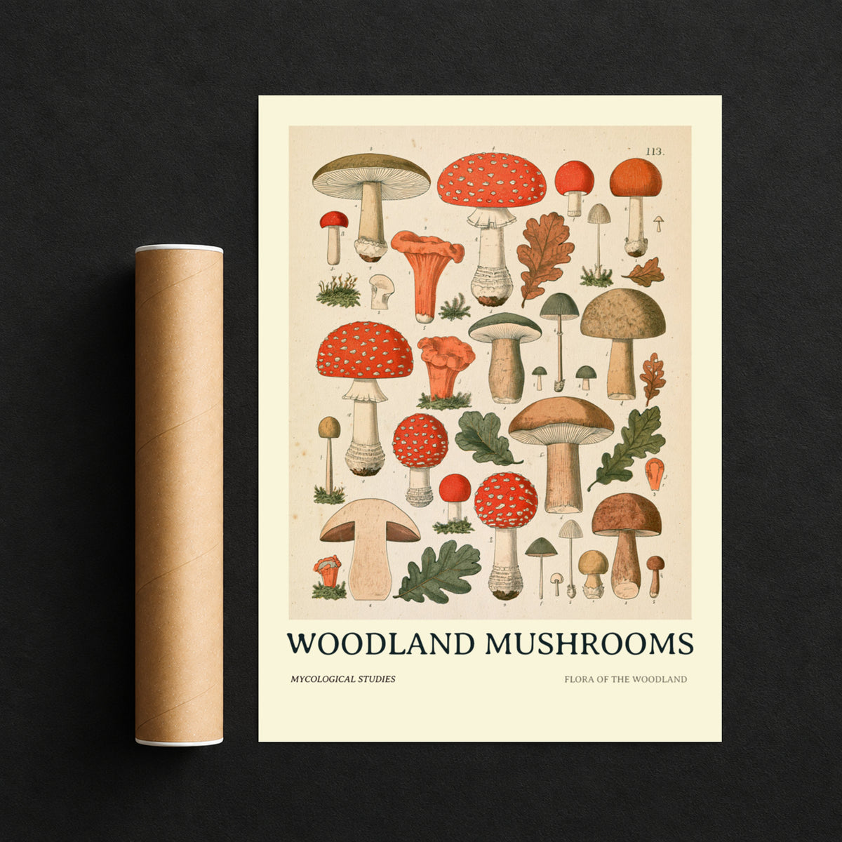 Vintage Woodland Mushrooms Print, Botanical Mycology Wall Art, Toadstool Poster, Cottagecore Kitchen
