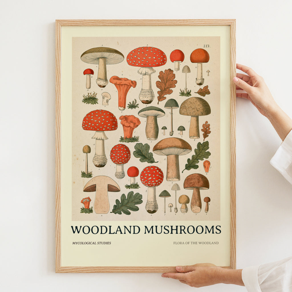 Vintage Woodland Mushrooms Print, Botanical Mycology Wall Art, Toadstool Poster, Cottagecore Kitchen