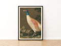 Vintage Pheasant Print, Classic Inspired Prints, Bird Wall Art, Antique Oil Painting Poster