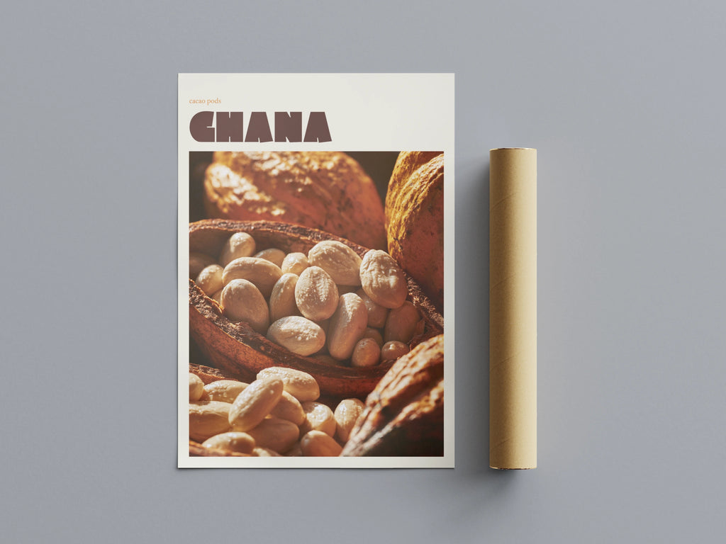 Ghana Cacao Pod Print, contemporary Travel Art, African Kitchen Wall Art, Chocolate Lover Gift