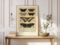 Vintage Butterflies and Moths Poster, Natural History Botanical Wall Art, Lepidoptera Study Print