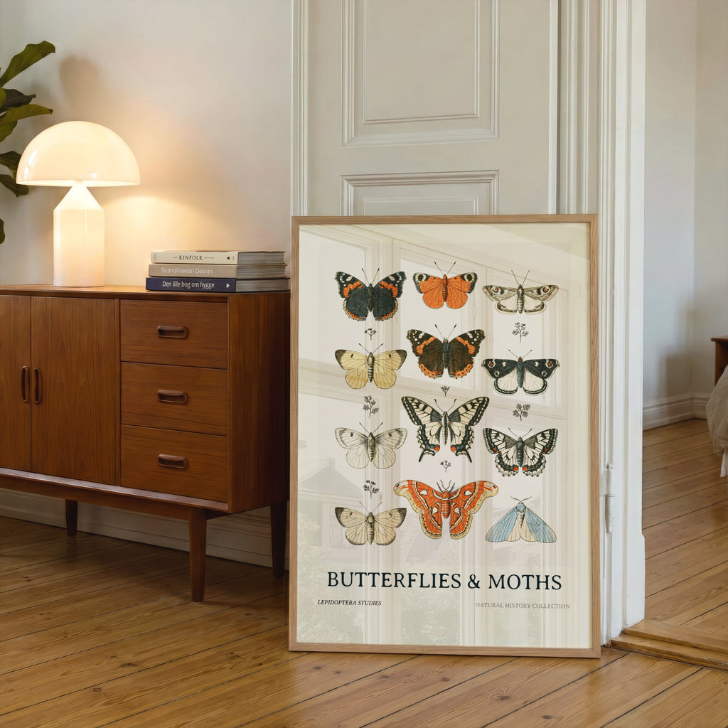 Vintage Butterflies and Moths Poster, Natural History Wall Art, Botanical Entomology Print
