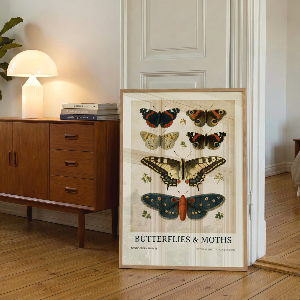 Vintage Butterflies and Moths Poster, Natural History Botanical Wall Art, Lepidoptera Study Print
