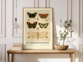 Vintage Butterflies and Moths Art Print, Natural History Poster, Entomology Wall Art, Botanical